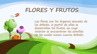 FLORES Y FRUTOS
Las flores son los órganos sexuales de
los árboles. A partir de ellas se
desarrollan los frutos, en cuyo
interior se encuentran las semillas
de las cuales nacen nuevos árboles.
 