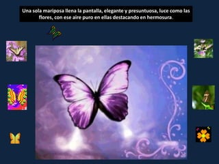 Una sola mariposa llena la pantalla, elegante y presuntuosa, luce como las
       flores, con ese aire puro en ellas destacando en hermosura.
 