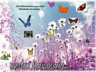Este Maríposario es precioso
   Felicidades al creador…
 