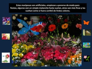 Estas mariposas son artificiales, empiezan a ponerse de moda para
fiestas, algunas con un simple motorcito hasta vuelan, otras son más finas y las
                 sueltan como si fuera confeti de lindos colores.
 