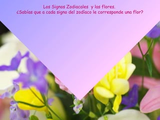 Los Signos Zodiacales y las flores. 
¿Sabías que a cada signo del zodíaco le corresponde una flor?
 
