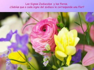 Los Signos Zodiacales  y las flores.  ¿Sabías que a cada signo del zodíaco le corresponde una flor? 