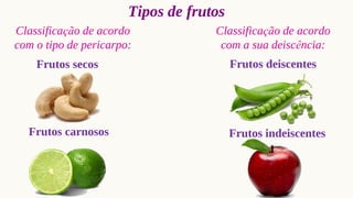 Tipos de frutos
Classificação de acordo
com o tipo de pericarpo:
Classificação de acordo
com a sua deiscência:
Frutos secos
Frutos carnosos
Frutos deiscentes
Frutos indeiscentes
 