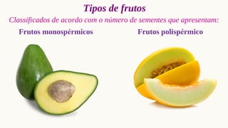 Tipos de frutos
Classificados de acordo com o número de sementes que apresentam:
Frutos monospérmicos Frutos polispérmico
 