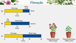 Floração
 