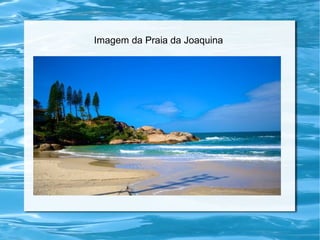 Imagem da Praia da Joaquina
 