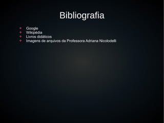 Bibliografia
 Google
 Wikipédia
 Livros didáticos
 Imagens de arquivos da Professora Adriana Nicolodelli
 