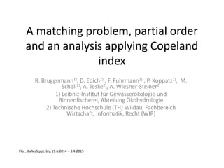 A matching problem, partial order
and an analysis applying Copeland
index
R. Bruggemann1), D. Edich2) , F. Fuhrmann2) , P. Koppatz2), M.
Scholl2), A. Teske2), A. Wiesner-Steiner2)
1) Leibniz-Institut für Gewässerökologie und
Binnenfischerei, Abteilung Ökohydrologie
2) Technische Hochschule (TH) Wildau, Fachbereich
Wirtschaft, Informatik, Recht (WIR)
Flor_iBaMs5.ppt: brg 19.6.2014 – 3.4.2015
 