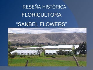 FLORICULTORA  “ SANBEL FLOWERS”  