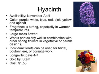 Hyacinth
• Availability: November-April
• Color: purple, white, blue, red, pink, yellow,
  and apricot
• Fragrance is strong, especially in warmer
  temperatures
• Large mass flower:
• Works particularly well in combination with
  other spring flowers in vegetative or parallel
  designs.
• Individual florets can be used for bridal,
  boutonniere, or corsage work.
• Longevity: days 4-7
• Sold by: Stem
• Cost: $1.50
 