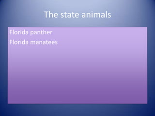 Florida panther Florida manateesThe state animals