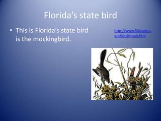 Florida’s state birdThis is Florida’s state bird is the mockingbird. http://www.50states.com/bird/mock.htm