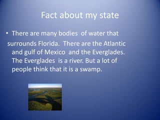 Fact about my stateThere are many bodies  of water that surrounds Florida.  There are the Atlantic and gulf of Mexico  and the Everglades. The Everglades  is a river. But a lot of people think that it is a swamp. 