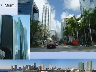 • Miami
 