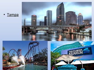 • Tampa
 
