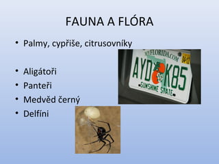 FAUNA A FLÓRA
• Palmy, cypřiše, citrusovníky
• Aligátoři
• Panteři
• Medvěd černý
• Delfíni
 
