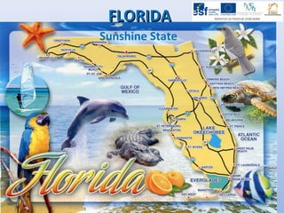 FLORIDAFLORIDA
Sunshine State
 