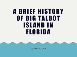 A BRIEF HISTORY
OF BIG TALBOT
ISLAND IN
FLORIDA
E LO A H R O C H A
 