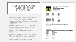 Internal Parasites Update | PPTX