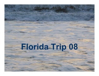 Florida Trip 08
 