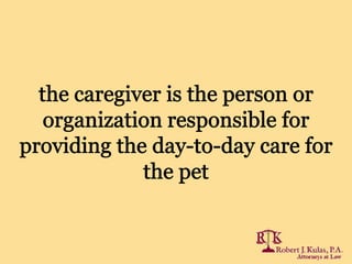 Florida Pet Plans: Additional Questions and Practical Steps