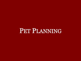 Florida Pet Plans: Additional Questions and Practical Steps