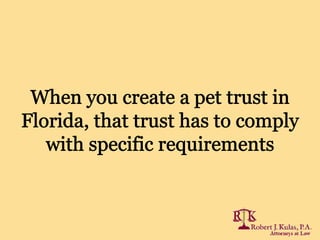 Florida Pet Plans: Additional Questions and Practical Steps
