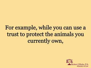 Florida Pet Plans: Additional Questions and Practical Steps