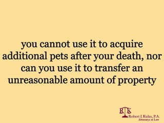 Florida Pet Plans: Additional Questions and Practical Steps