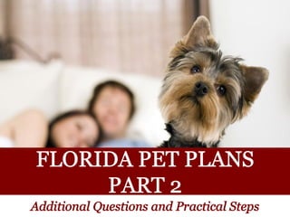 Florida Pet Plans: Additional Questions and Practical Steps