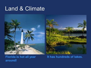 Land & ClimateFlorida is hot all year around!It has hundreds of lakes..