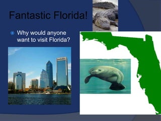 Fantastic Florida! Why would anyone want to visit Florida? 