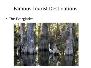Famous Tourist Destinations
• The Everglades
 