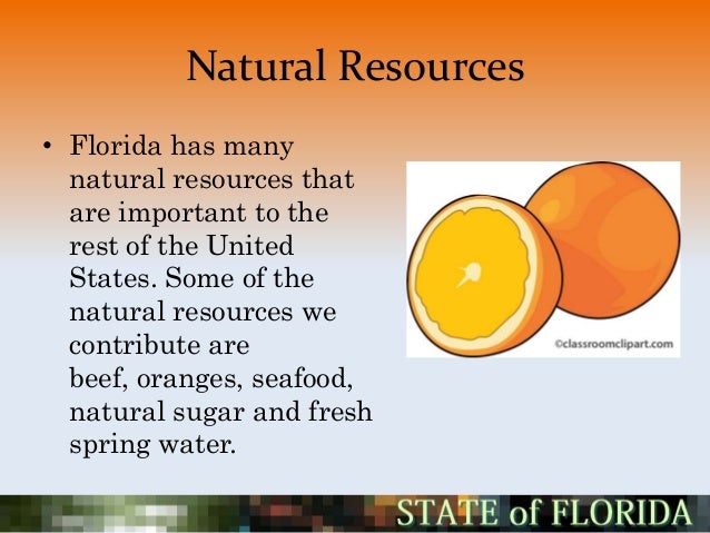 Natural Resources In Florida 83