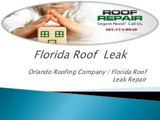 Orlando Roofing Company | Florida Roof
Leak Repair
 