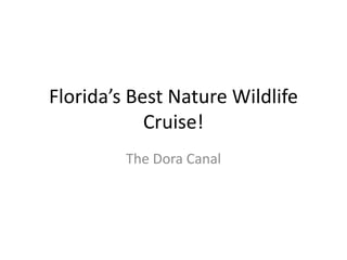Florida’s Best Nature Wildlife
            Cruise!
         The Dora Canal
 