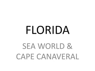FLORIDA SEA WORLD & CAPE CANAVERAL 