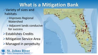 What is a Mitigation Bank
Variety of sizes and
habitats
Improves Regional
Watershed
Adjacent lands conducive
for success
Establishes Credits
Mitigation Service Area
Managed in perpetuity
 