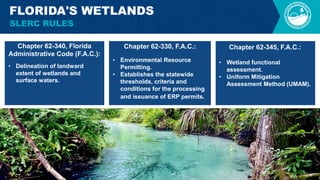 4
Chapter 62-340, Florida
Administrative Code (F.A.C.):
Chapter 62-330, F.A.C.:
• Wetland functional
assessment.
• Uniform Mitigation
Assessment Method (UMAM). ​
Chapter 62-345, F.A.C.:
• Environmental Resource
Permitting.
• Establishes the statewide
thresholds, criteria and
conditions for the processing
and issuance of ERP permits.​
FLORIDA'S WETLANDS
SLERC RULES
• Delineation of landward
extent of wetlands and
surface waters.​
 