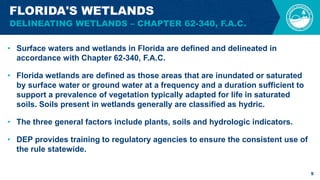 • Surface waters and wetlands in Florida are defined and delineated in
accordance with Chapter 62-340, F.A.C.
• Florida wetlands are defined as those areas that are inundated or saturated
by surface water or ground water at a frequency and a duration sufficient to
support a prevalence of vegetation typically adapted for life in saturated
soils. Soils present in wetlands generally are classified as hydric.
• The three general factors include plants, soils and hydrologic indicators.
• DEP provides training to regulatory agencies to ensure the consistent use of
the rule statewide.
5
FLORIDA'S WETLANDS
DELINEATING WETLANDS – CHAPTER 62-340, F.A.C.
 