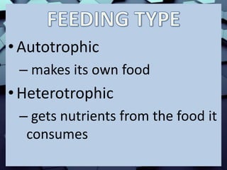 •Autotrophic
– makes its own food
•Heterotrophic
– gets nutrients from the food it
consumes
 