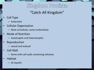 “Catch All Kingdom”
• Cell Type
– Eukaryotic
• Cellular Organization
– Most unicellular, some multicellular
• Mode of Nutrition
– Autotrophic and heterotrophic
• Reproduction
– sexual and asexual
• Cell Wall
– Some with cell walls containing cellulose
• Habitat
– all aquatic
 