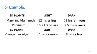 For Example:
SD PLANTS LIGHT DARK
Maryland Mammoth 12 hrs or less 12 hrs or more
Xanthium 15.5 hrs or less 8.5 hrs or more
LD PLANT LIGHT DARK
Hyoscyamus niger 11 hrs or more 13 hrs or less
13
 