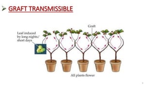  GRAFT TRANSMISSIBLE
8
 