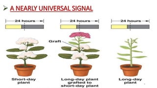  A NEARLY UNIVERSAL SIGNAL
9
 