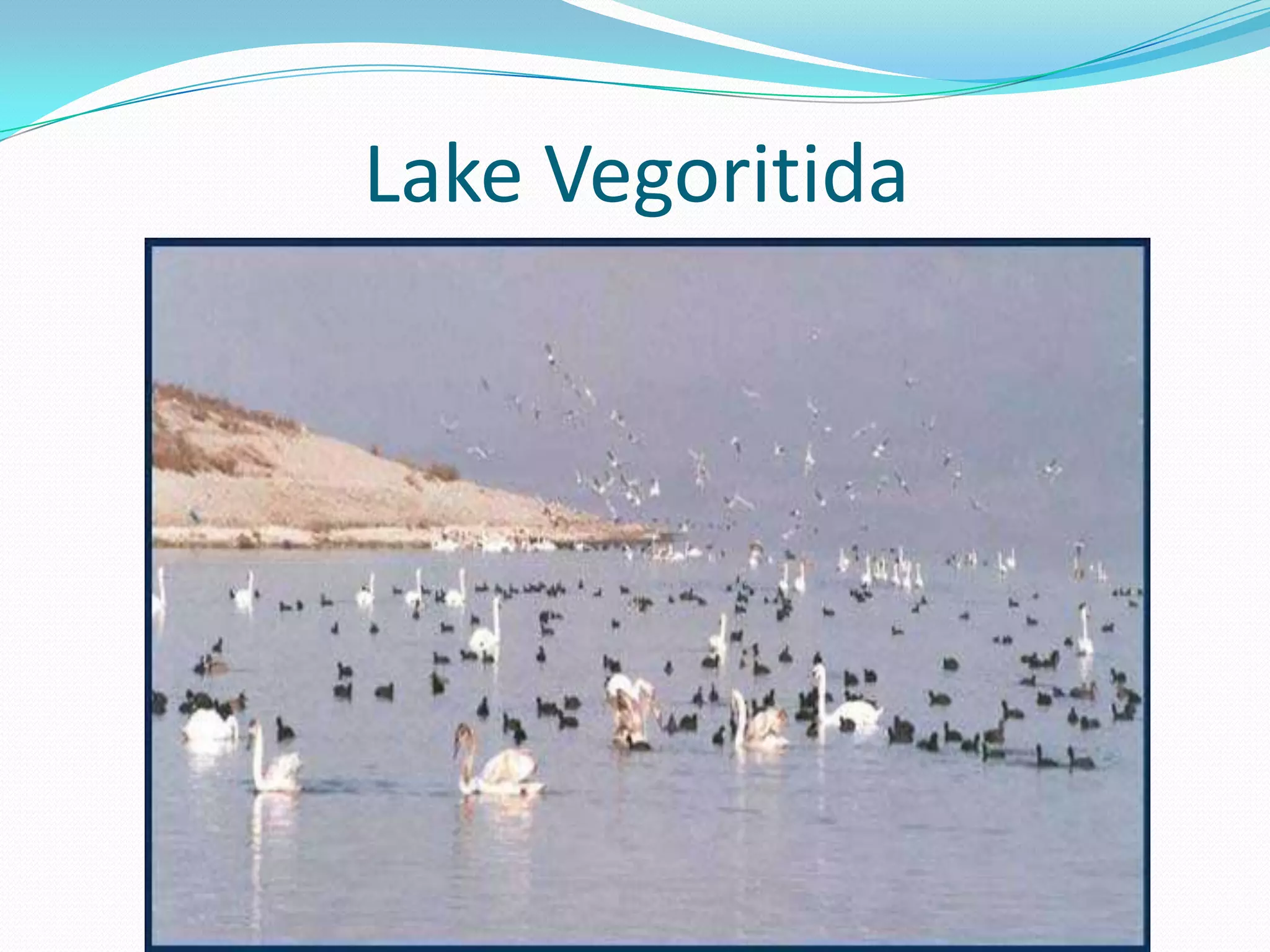 Lake Vegoritida
