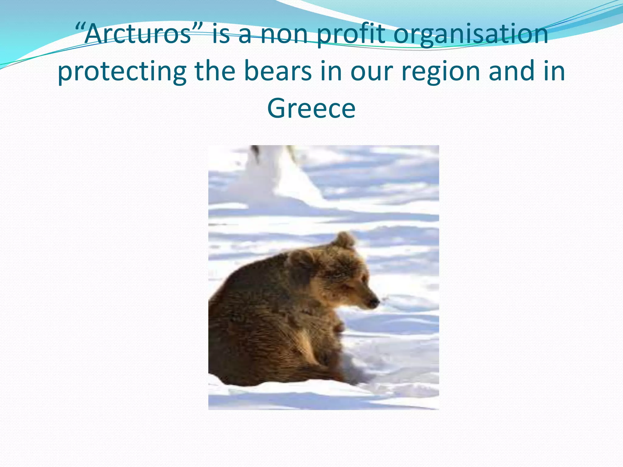 “Arcturos” is a non profit organisation
protecting the bears in our region and in
Greece