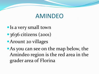 AMINDEO
Is a very small town
3636 citizens (2001)
Arount 20 villages
As you can see on the map below, the
Amindeo region is the red area in the
grader area of Florina
 