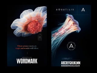 Florin Nica - Research Presentation