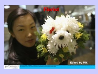 FloristFlorist
Edited by MikiEdited by Miki
 
